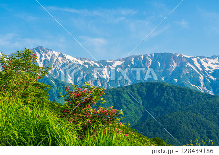朝の八方山と八方池風景 128439186