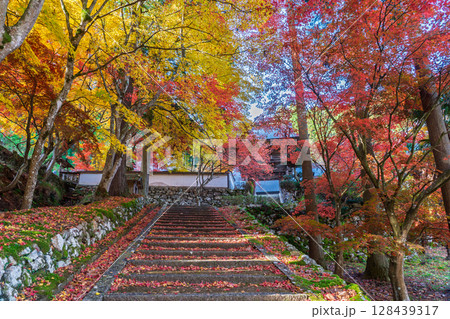 紅葉真っ盛りの京都府京丹波町にある曹洞宗玉雲寺を撮影 128439317