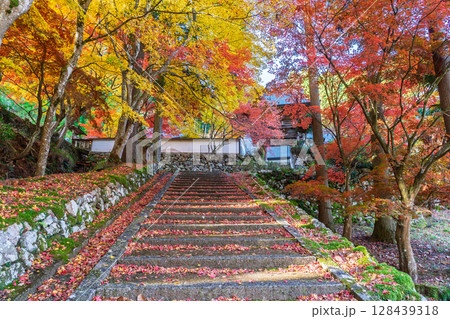 紅葉真っ盛りの京都府京丹波町にある曹洞宗玉雲寺を撮影 紅葉真っ盛りの京都府京丹波町にある曹洞宗玉雲寺を撮影 128439318