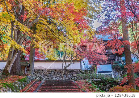 紅葉真っ盛りの京都府京丹波町にある曹洞宗玉雲寺を撮影 紅葉真っ盛りの京都府京丹波町にある曹洞宗玉雲寺を撮影 128439319