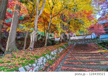 紅葉真っ盛りの京都府京丹波町にある曹洞宗玉雲寺を撮影 紅葉真っ盛りの京都府京丹波町にある曹洞宗玉雲寺を撮影 128439321