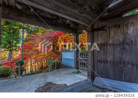 紅葉真っ盛りの京都府京丹波町にある曹洞宗玉雲寺を撮影 紅葉真っ盛りの京都府京丹波町にある曹洞宗玉雲寺を撮影 128439328