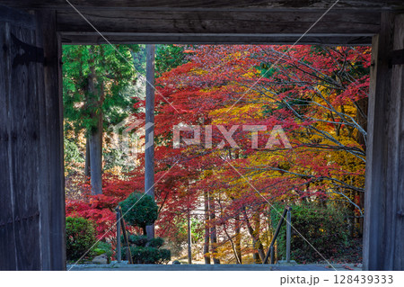紅葉真っ盛りの京都府京丹波町にある曹洞宗玉雲寺を撮影 紅葉真っ盛りの京都府京丹波町にある曹洞宗玉雲寺を撮影 128439333