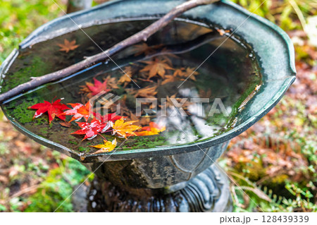 紅葉真っ盛りの京都府京丹波町にある曹洞宗玉雲寺を撮影 128439339