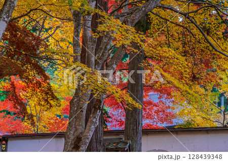 紅葉真っ盛りの京都府京丹波町にある曹洞宗玉雲寺を撮影 128439348