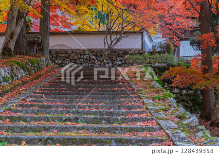 紅葉真っ盛りの京都府京丹波町にある曹洞宗玉雲寺を撮影 紅葉真っ盛りの京都府京丹波町にある曹洞宗玉雲寺を撮影 128439358