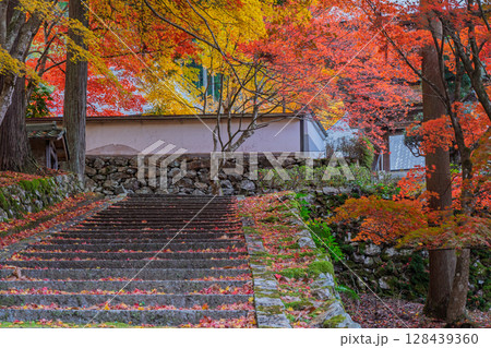 紅葉真っ盛りの京都府京丹波町にある曹洞宗玉雲寺を撮影 128439360