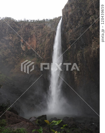 断崖の一条 ― Wallaman Falls、重力と静けさの境界 断崖の一条 ― Wallaman Falls、重力と静けさの境界 128439659