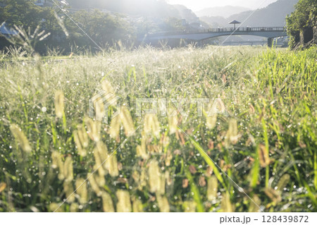 秋の気配を感じる三朝温泉 128439872