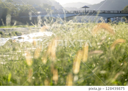 秋の気配を感じる三朝温泉 128439875