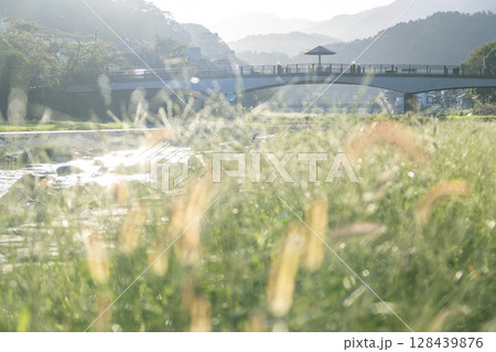 秋の気配を感じる三朝温泉 秋の気配を感じる三朝温泉 128439876