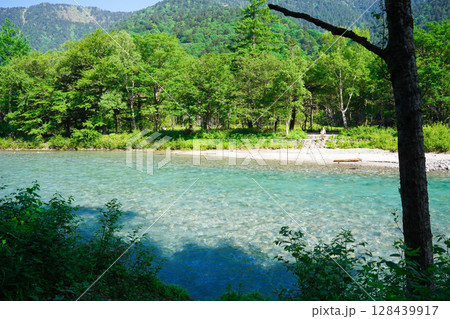 長野 上高地 新緑に包まれた美しい梓川 長野 上高地 新緑に包まれた美しい梓川 128439917