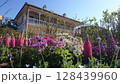 花と洋館 128439960