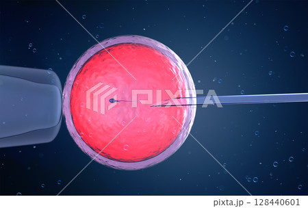 Ovum with needle for artificial insemination or in vitro fertilization Ovum with needle for artificial insemination or in vitro fertilization 128440601