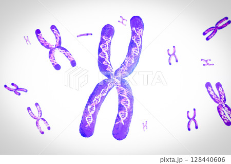 Transparent chromosome x contain dna strand inside 128440606
