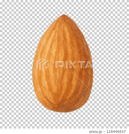 [堅果] 杏仁插畫 128440837