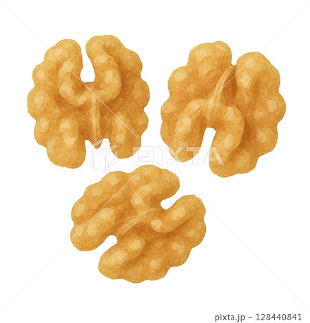 【ナッツ】胡桃(くるみ)のイラスト 【ナッツ】胡桃(くるみ)のイラスト 128440841