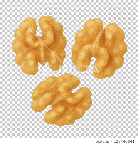 [堅果] 核桃圖解 128440841