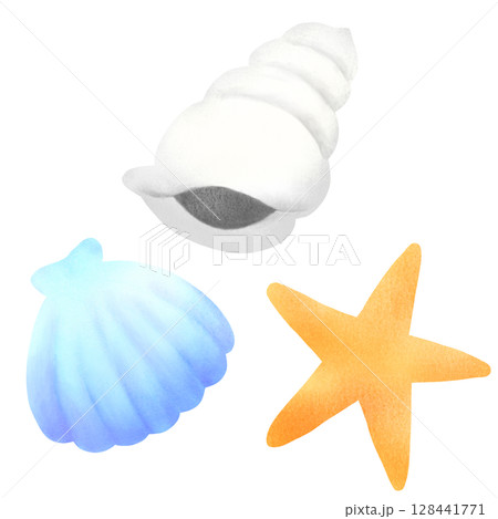 貝殻とヒトデのイラスト 128441771