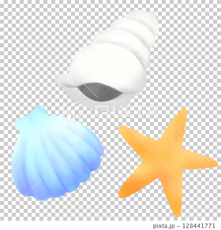 Illustration of seashells and starfish 128441771