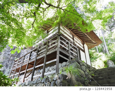 新緑に包まれた姨捨の長楽寺観音堂 128441958
