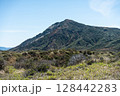 雄大な阿蘇山 128442283