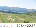 広大な草原 128442287