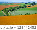 色づく小麦畑を望む田園風景 ( 北海道 美瑛町 ) 128442452
