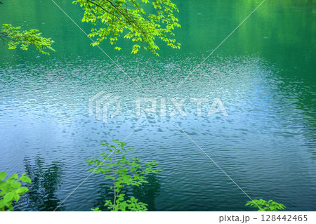 初夏のドッコ沼 初夏のドッコ沼 128442465