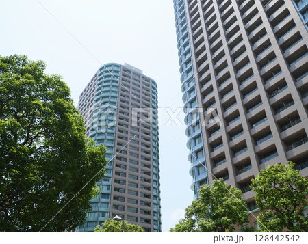 緑とタワーマンションのある都市風景|中央区佃 緑とタワーマンションのある都市風景|中央区佃 128442542
