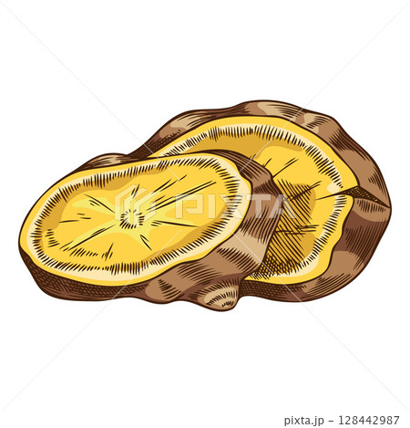 Fresh ginger root slices sketch, vector hand drawn aromatic spice, mulled wine ingredient, medicinal fragrant herb 128442987