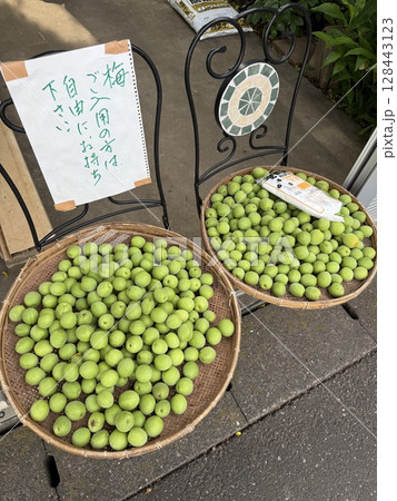 たくさんできた梅 たくさんできた梅 128443123