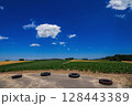 広大な畑と美瑛の夏空 ( 北海道 美瑛町 ) 128443389