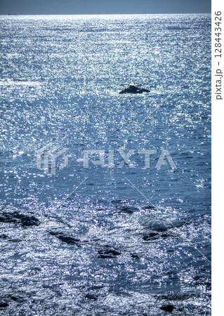 煌めく海原 128443426