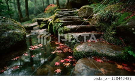 苔の生えた岩と紅葉 128443488