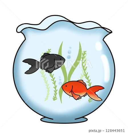 金魚鉢に金魚が泳いでいるイラスト 128443651
