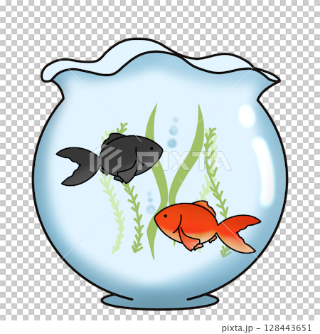 金魚鉢に金魚が泳いでいるイラスト 128443651