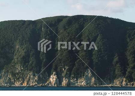 【東京九州フェリーはまゆう新門司行　高知県沖の島沖を航行】 128444578