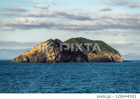 【東京九州フェリーはまゆう新門司行　高知県沖を航行　姫島】 128444581