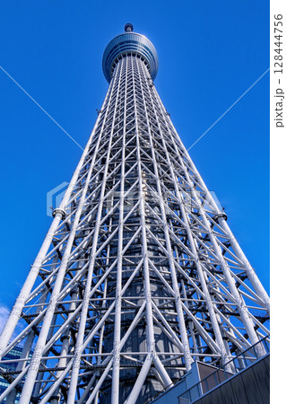 東京スカイツリータウン　東京スカイツリー 128444756