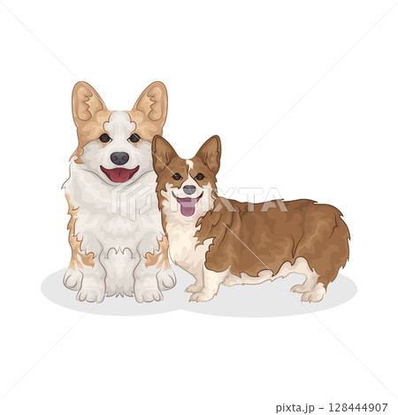 Illustration of Two Dogs Illustration of Two Dogs 128444907