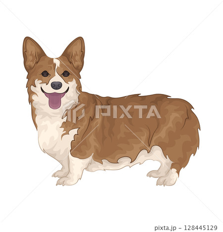 Illustration of Dog Illustration of Dog 128445129