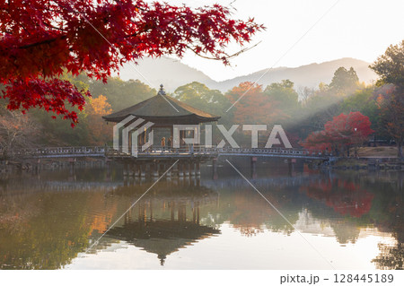 秋の古都奈良　紅葉の奈良公園　早朝の浮見堂 128445189