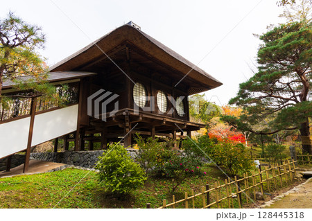 秋の古都奈良 紅葉の奈良公園 萬葉植物園 秋の古都奈良 紅葉の奈良公園 萬葉植物園 128445318