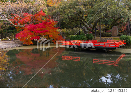 秋の古都奈良　紅葉の奈良公園　萬葉植物園 128445323