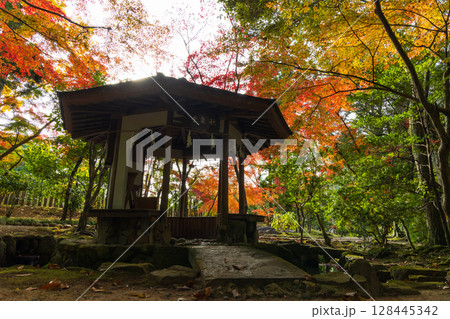 秋の古都奈良　紅葉の奈良公園　萬葉植物園 128445342