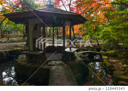 秋の古都奈良　紅葉の奈良公園　萬葉植物園 128445343