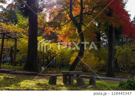 秋の古都奈良　紅葉の奈良公園　萬葉植物園 128445347