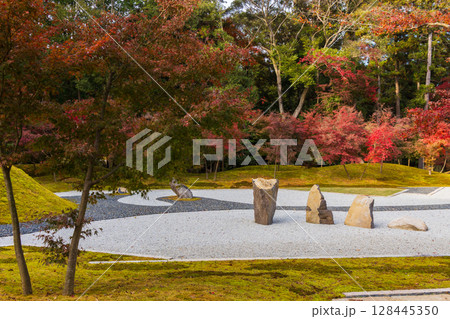 秋の古都奈良　紅葉の奈良公園　萬葉植物園 128445350