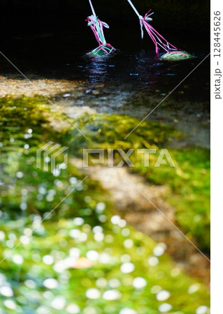 スイカと梅花藻 スイカと梅花藻 128445626